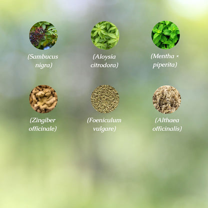 Lung Health Organic Herbal Tea