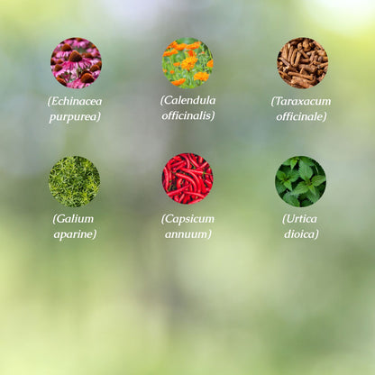 Organic Lymphatic Drainage Tincture