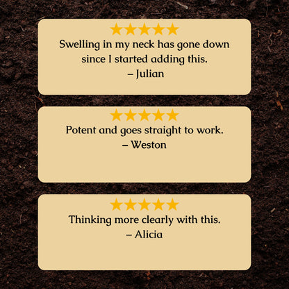 Organic Lymphatic Drainage Tincture