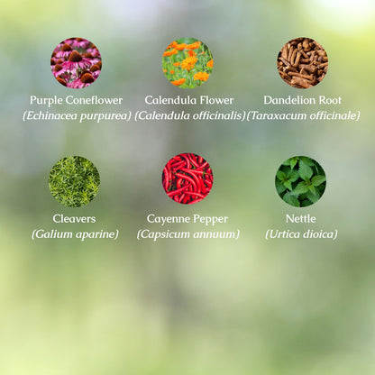 Organic Lymphatic Drainage Tincture