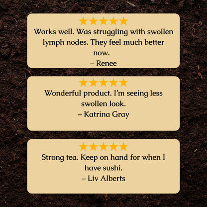 Lymphatic Drainage Organic Herbal Tea