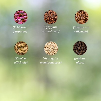 Organic Mold Detox Tincture