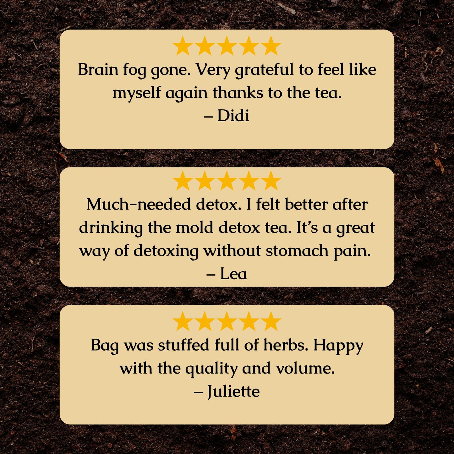 Mold Detox Organic Herbal Tea