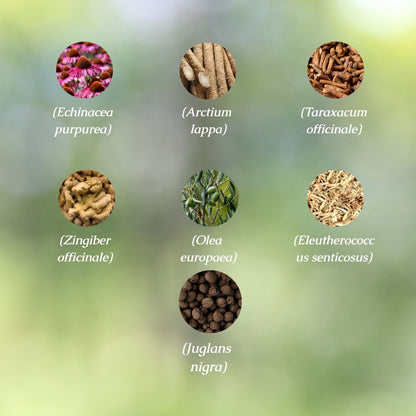 Mold Detox Organic Herbal Tea