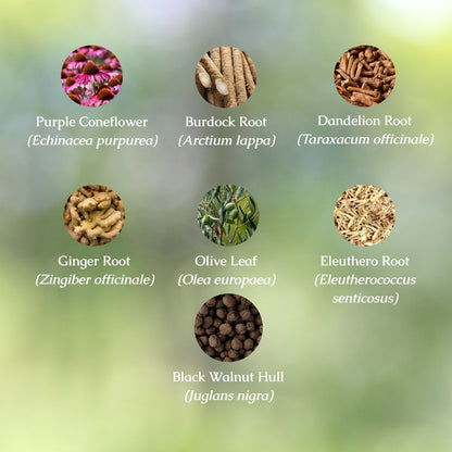 Mold Detox Organic Herbal Tea