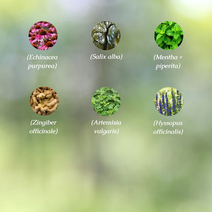 Pain Relief Organic Herbal Tea