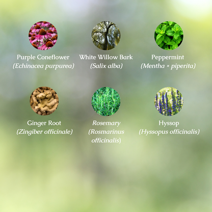 Organic Pain & Fever Relief Tincture