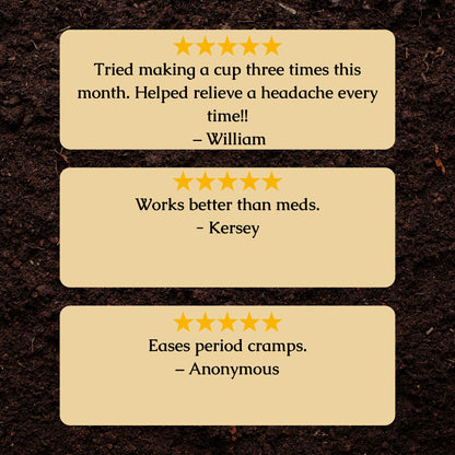 Pain Relief Organic Herbal Tea