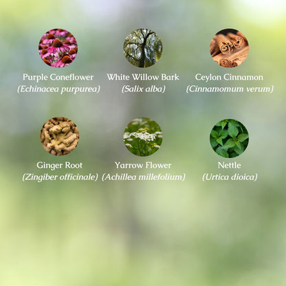 Pain Relief Organic Herbal Tea