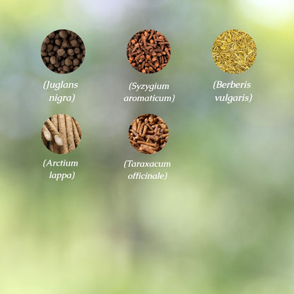 Organic Parasite Cleanse Herbal Tincture