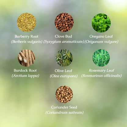 Parasite Cleanse Organic Herbal Tea