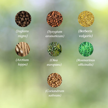 Parasite Cleanse Organic Herbal Tea