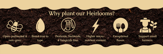 Heirloom Seeds Delivered from the Farm to You – My Health Forward