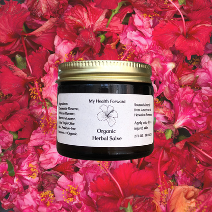 Organic Herbal Salve