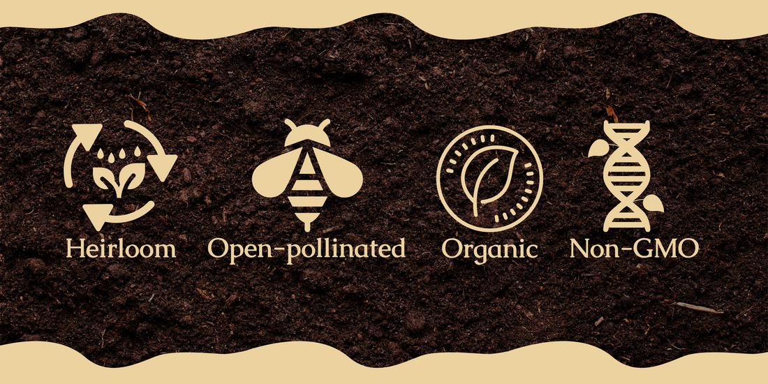 Raised Bed Growing Seed Bundle – My Health Forward