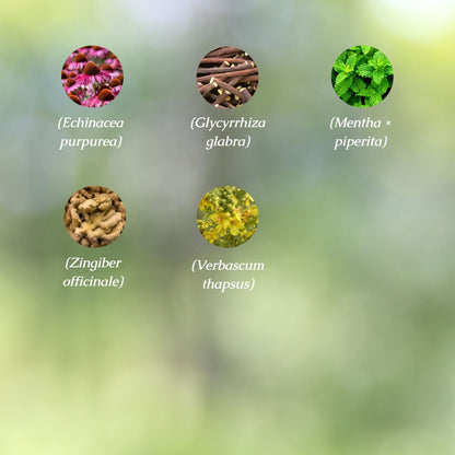 Organic Respiratory Health Tincture