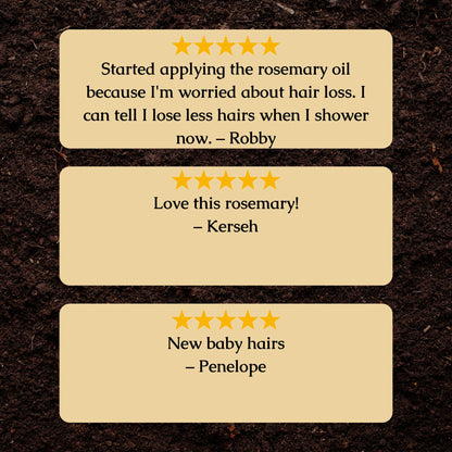 Organic Rosemary Hair Growth Extract