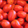 Roma Tomato Seeds