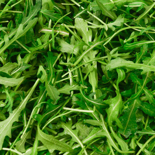 Arugula Wild Roquette Seeds