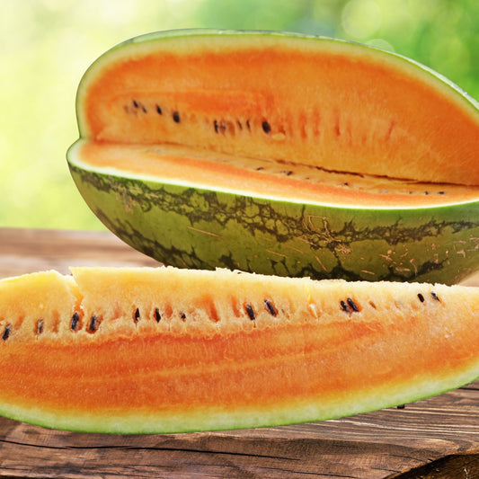 Tendersweet Orange Watermelon Seeds