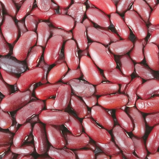 Dark Red Kidney Bean Seeds