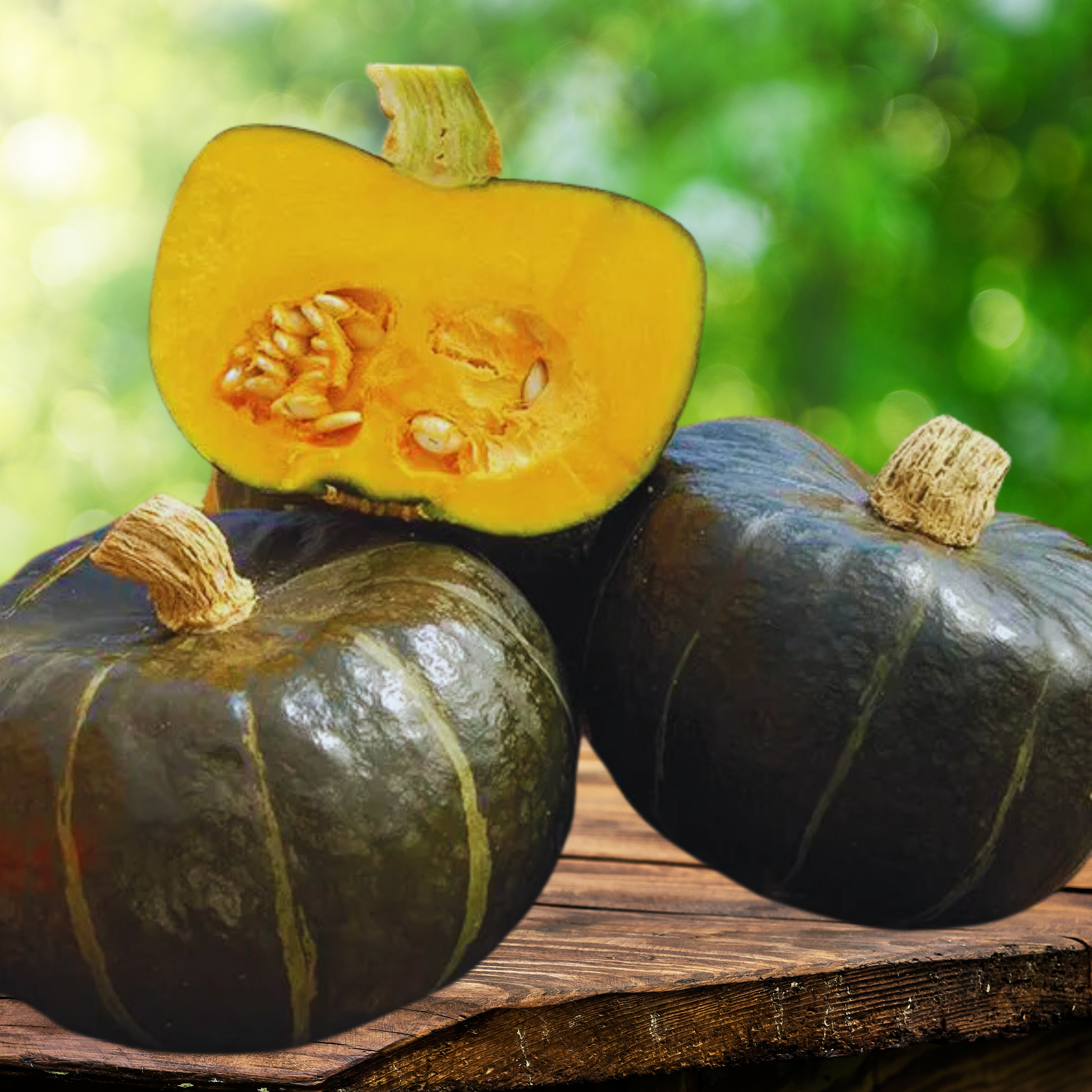 burgess seed & plants co Burgess Buttercup Winter Heirloom Squash Seeds – My Health Forward
