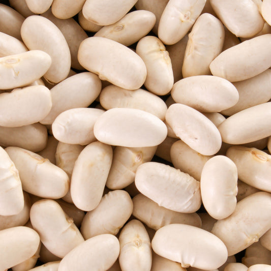 Cannellini Bean Seeds