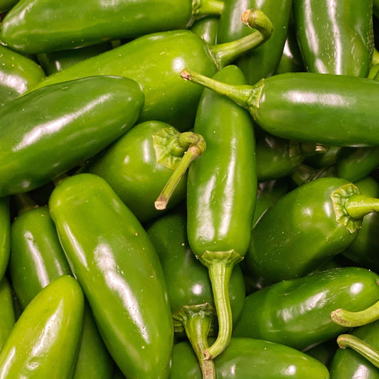 Jalapeño Hot Pepper Seeds
