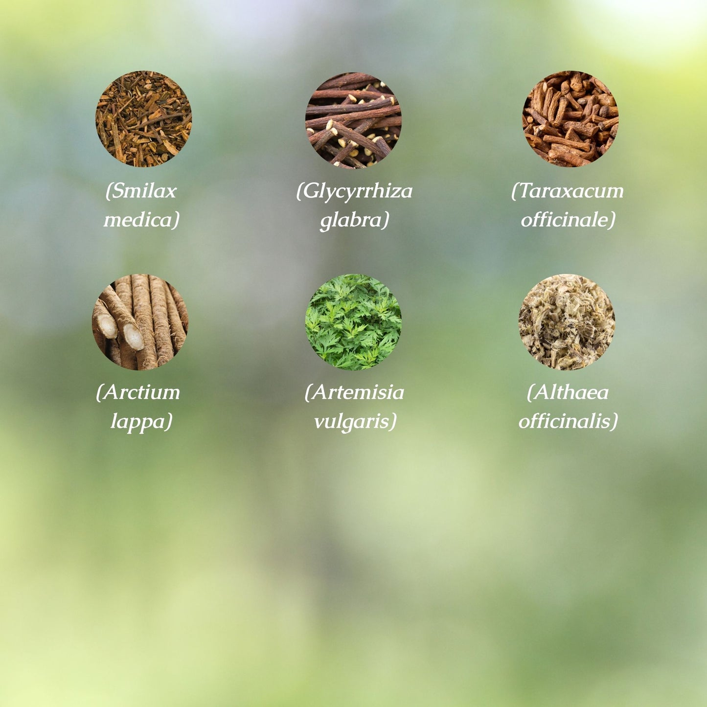 Organic Skin Health Tincture