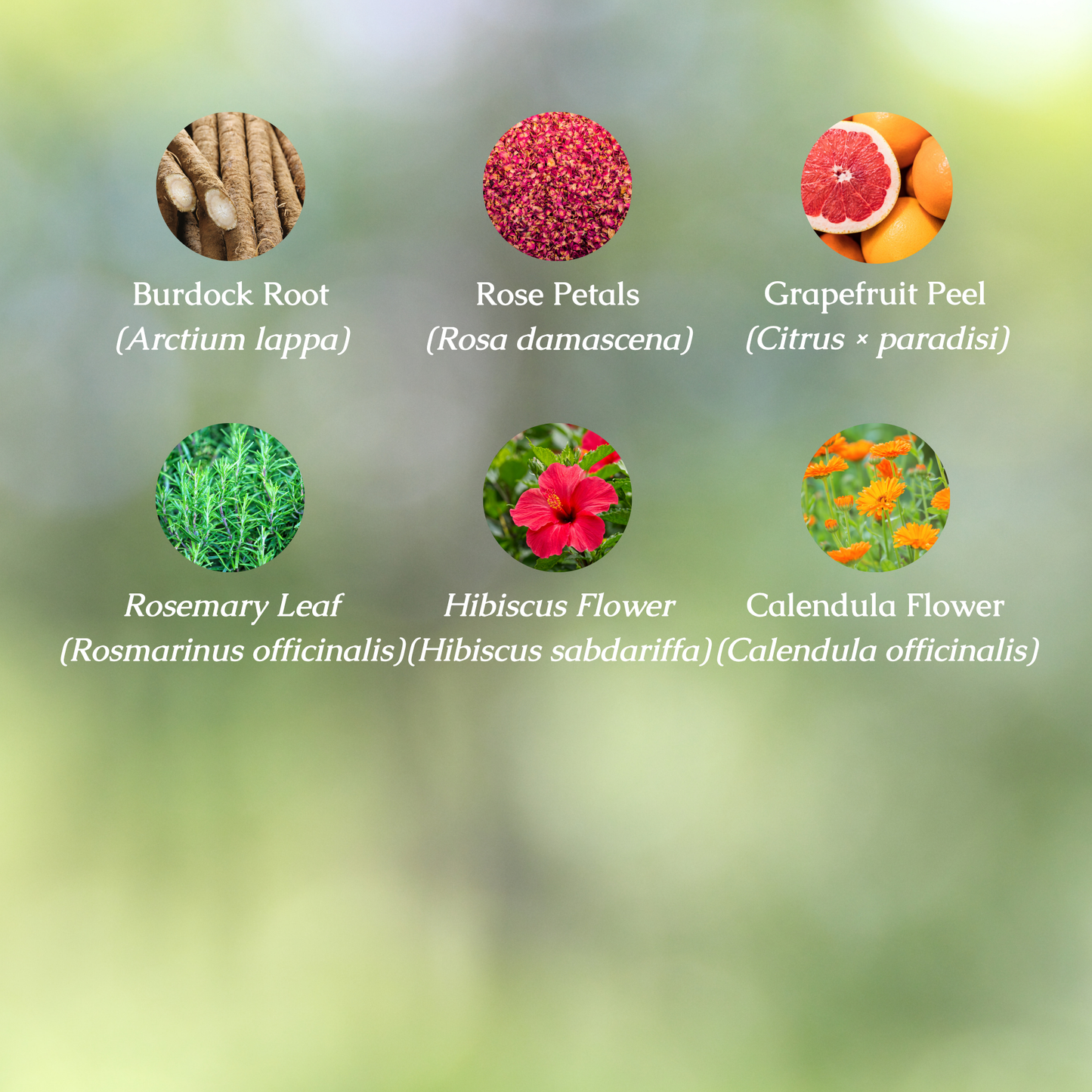 Skincare Organic Herbal Tea