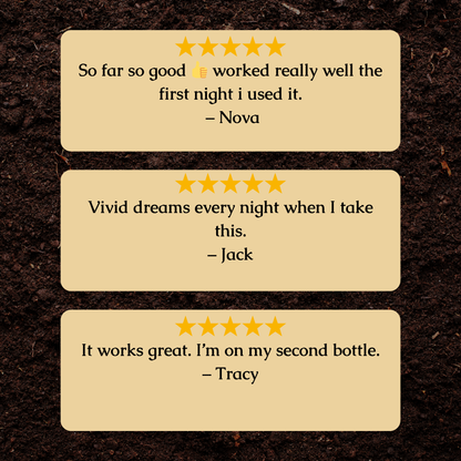 Organic Sleep Support Tincture