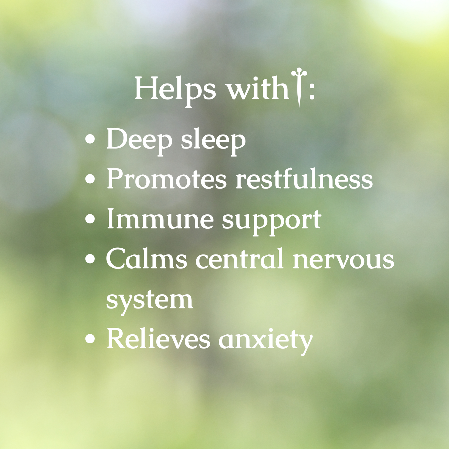 Organic Sleep Support Tincture