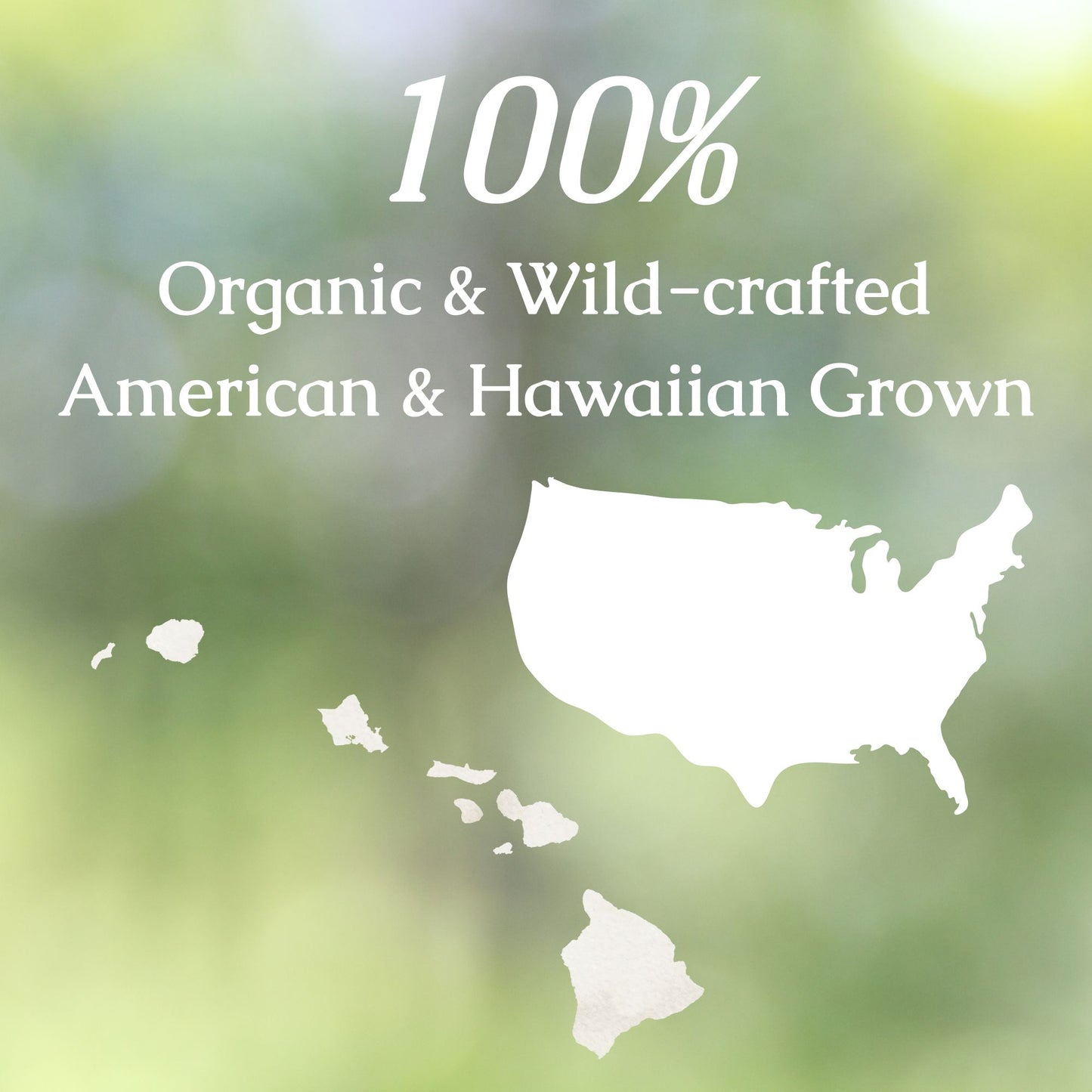 Candida Cleanse Organic Herbal Tea