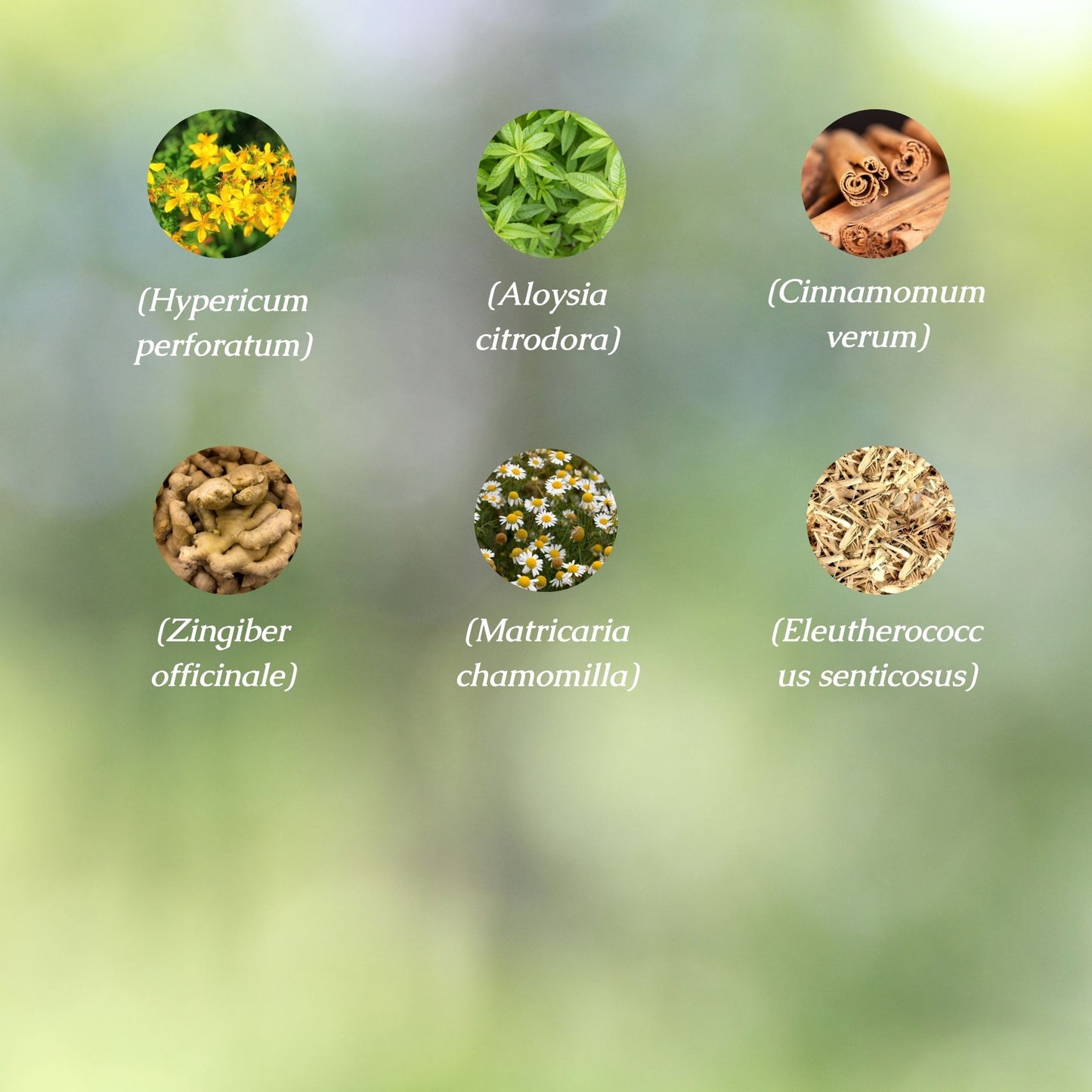 Organic Stress Support Tincture