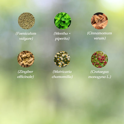 Stress Support Organic Herbal Tea