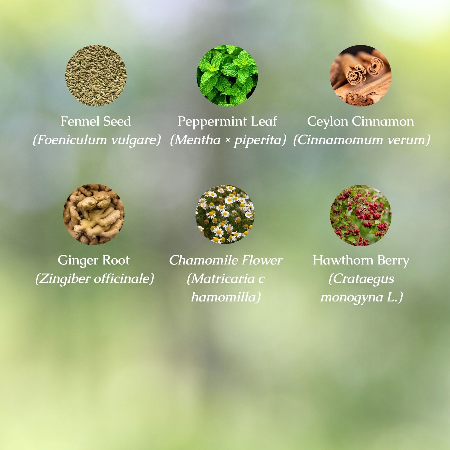 Stress Support Organic Herbal Tea