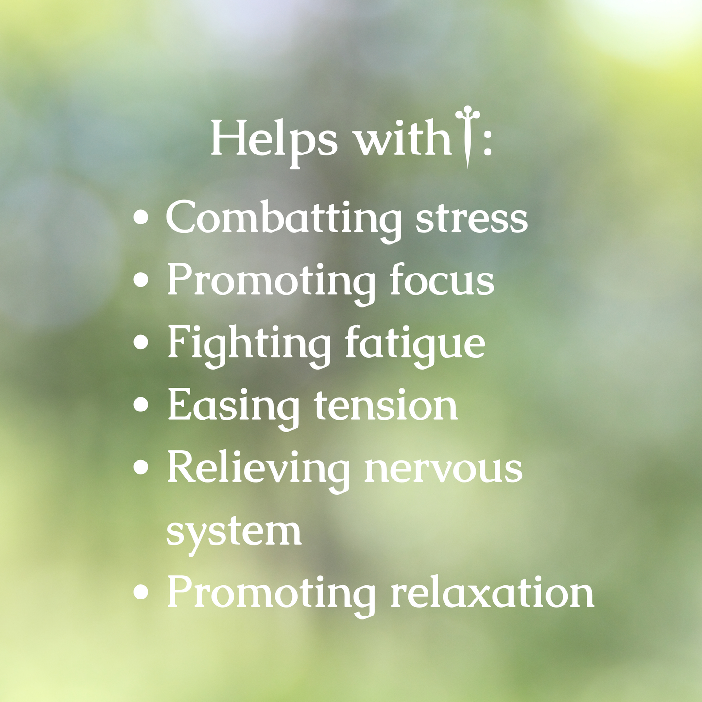 Organic Stress Support Tincture