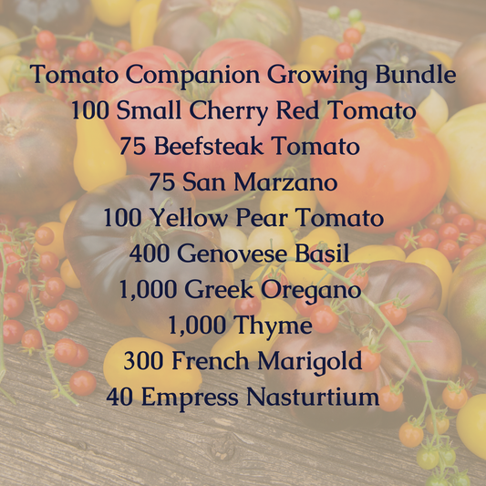 Tomato Companion Planting Bundle