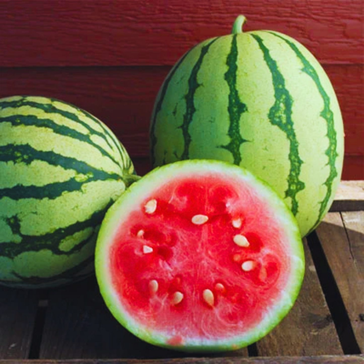 Dixie Queen Watermelon Seeds