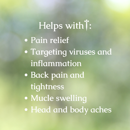 Organic White Willow Bark Tincture
