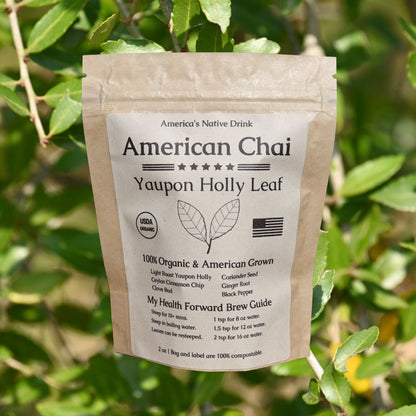 American Chai Organic Tea