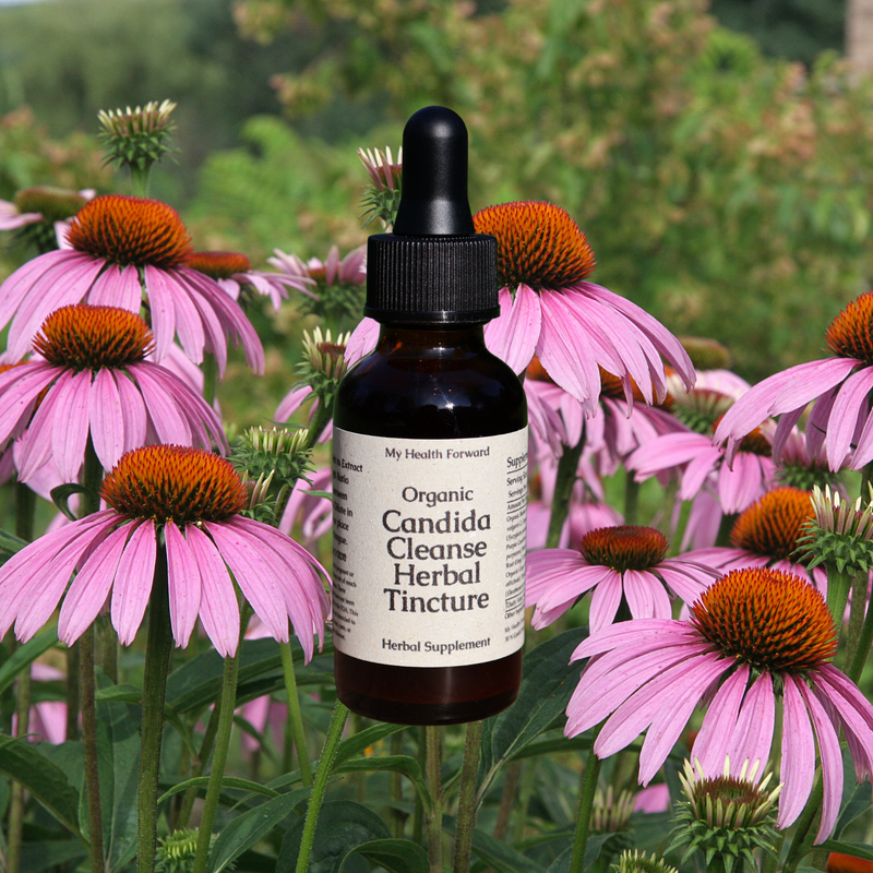 Organic Candida Cleanse Tincture