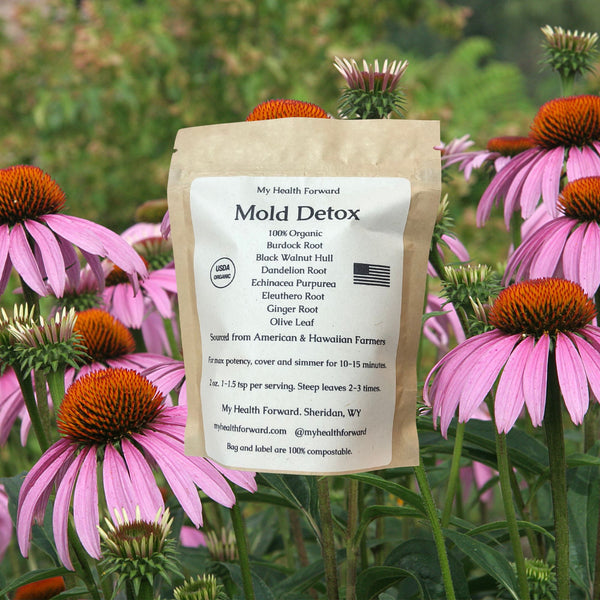 Mold Detox Organic Herbal Tea