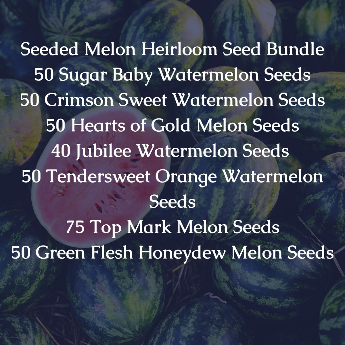 Seeded Melon Heirloom Seed Bundle