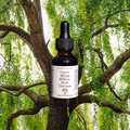 Organic White Willow Bark Tincture